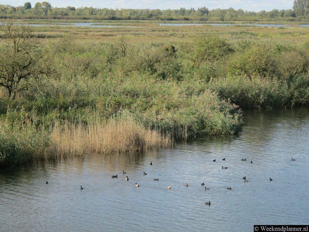 De adressen van de drie bezoekerscentra voor de Biesbosch zijn: Biesboschweg 4,  Drimmelen. Tel. 0162 682 233 - Baanhoekweg 53, Dordrecht. Tel. 078 770 53 53 - Biesbosch MuseumEiland, Hilweg 2, Werkendam.